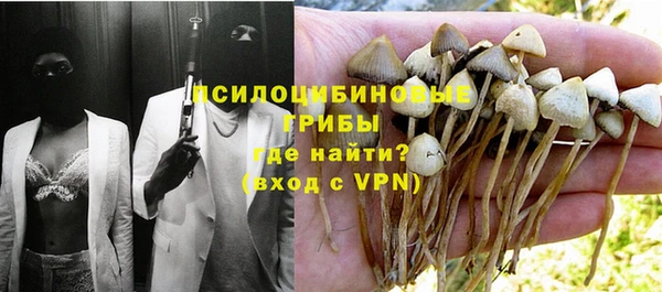 меф Белокуриха